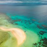THE DAINTREE